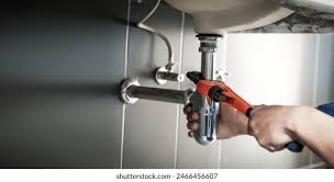 Best Residential Plumbing Services  in Monticello, WI